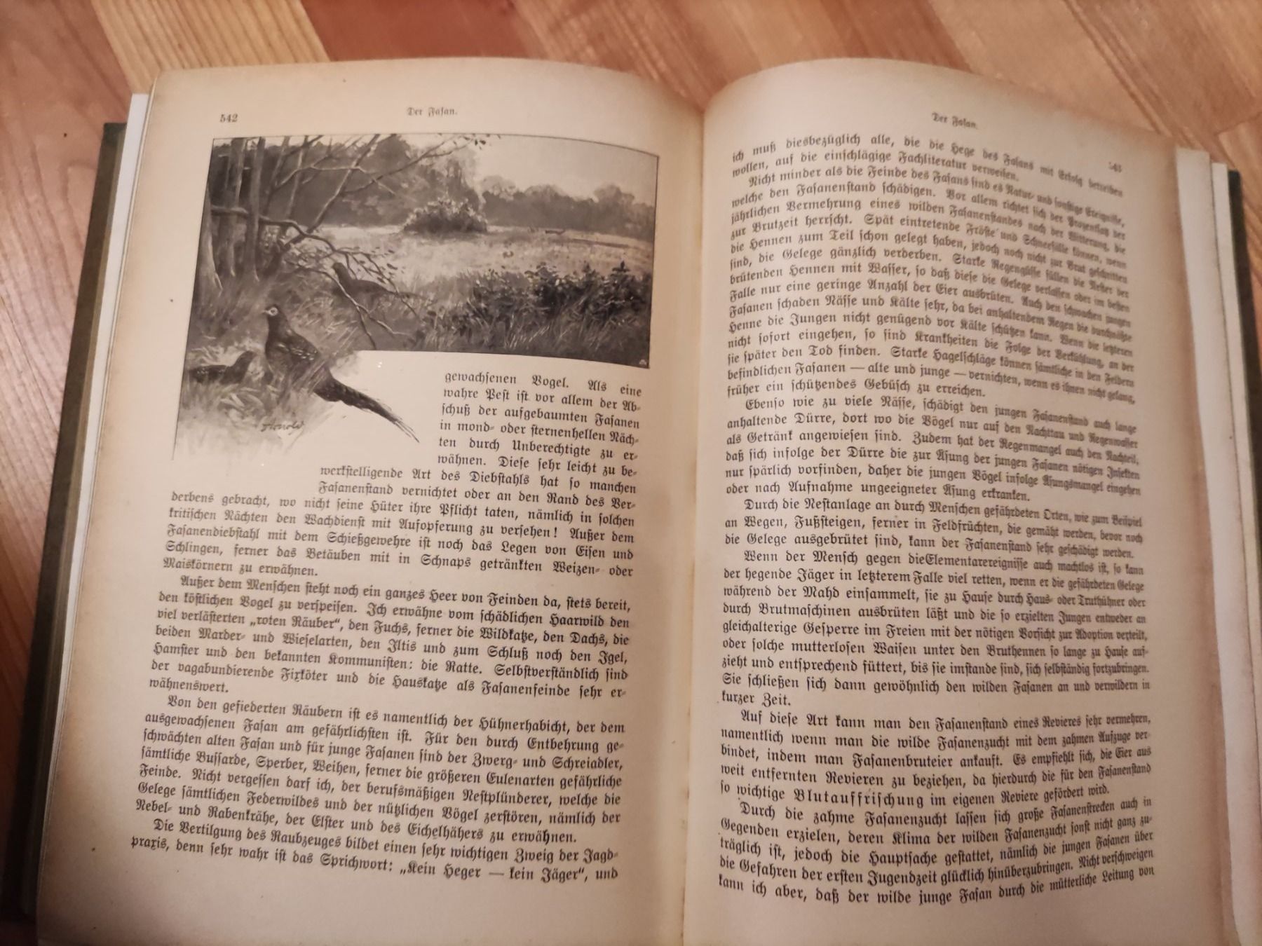 Bücher: Die hohe Jagd 1920 Paray Berlin 4. Auflage – Gebraucht aus Solothurn von Csw1 5