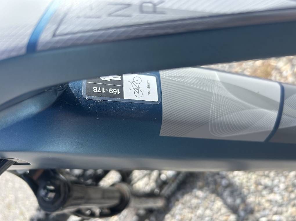 Wheeler Biciclette: Zwei E-Bike – Usato da Raperswilen venduto da pum_w8wc 4