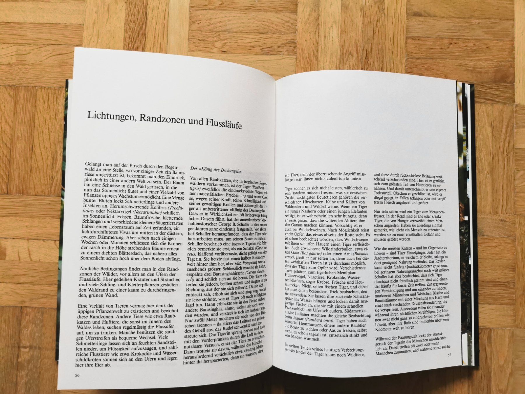 Libri: Leben im tropischen Regenwald – Usato da Stäfa venduto da flamingo_17 5