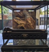 Terrarium Exo Terra mit Rückwand für Reptilien 20x20x20