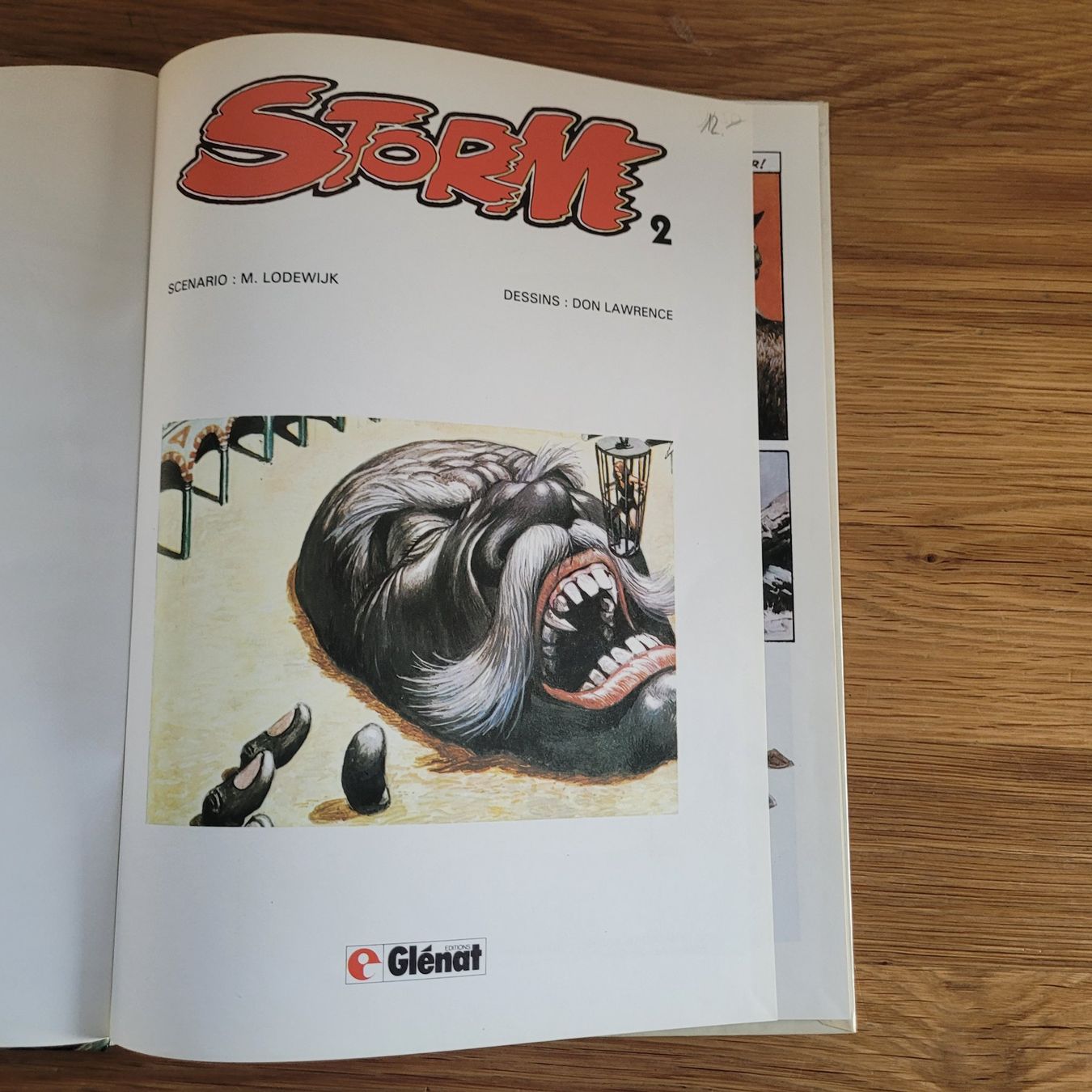 Comics: BD Storm Tome 2. La Dernière Sentinelle – Gebraucht aus Biel/Bienne von Destockweb 3