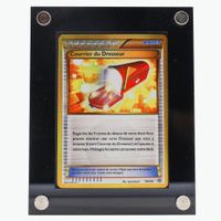 Courrier du Dresseur (AOR 100) - Pokémon TCG - XY - FR