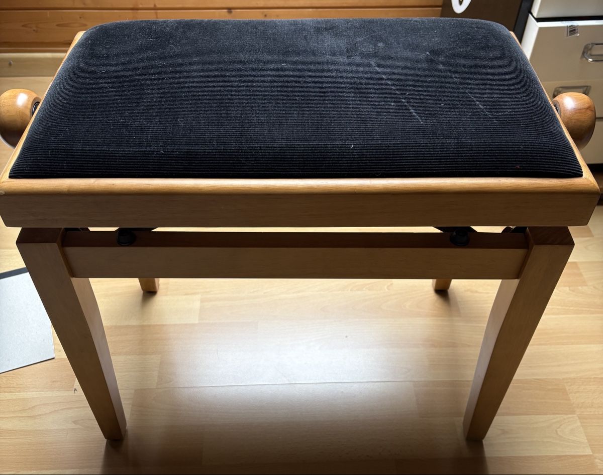 C.Giant Strumenti musicali: ePiano C.Giant – Usato da Grenchen venduto da Schwasie1 8