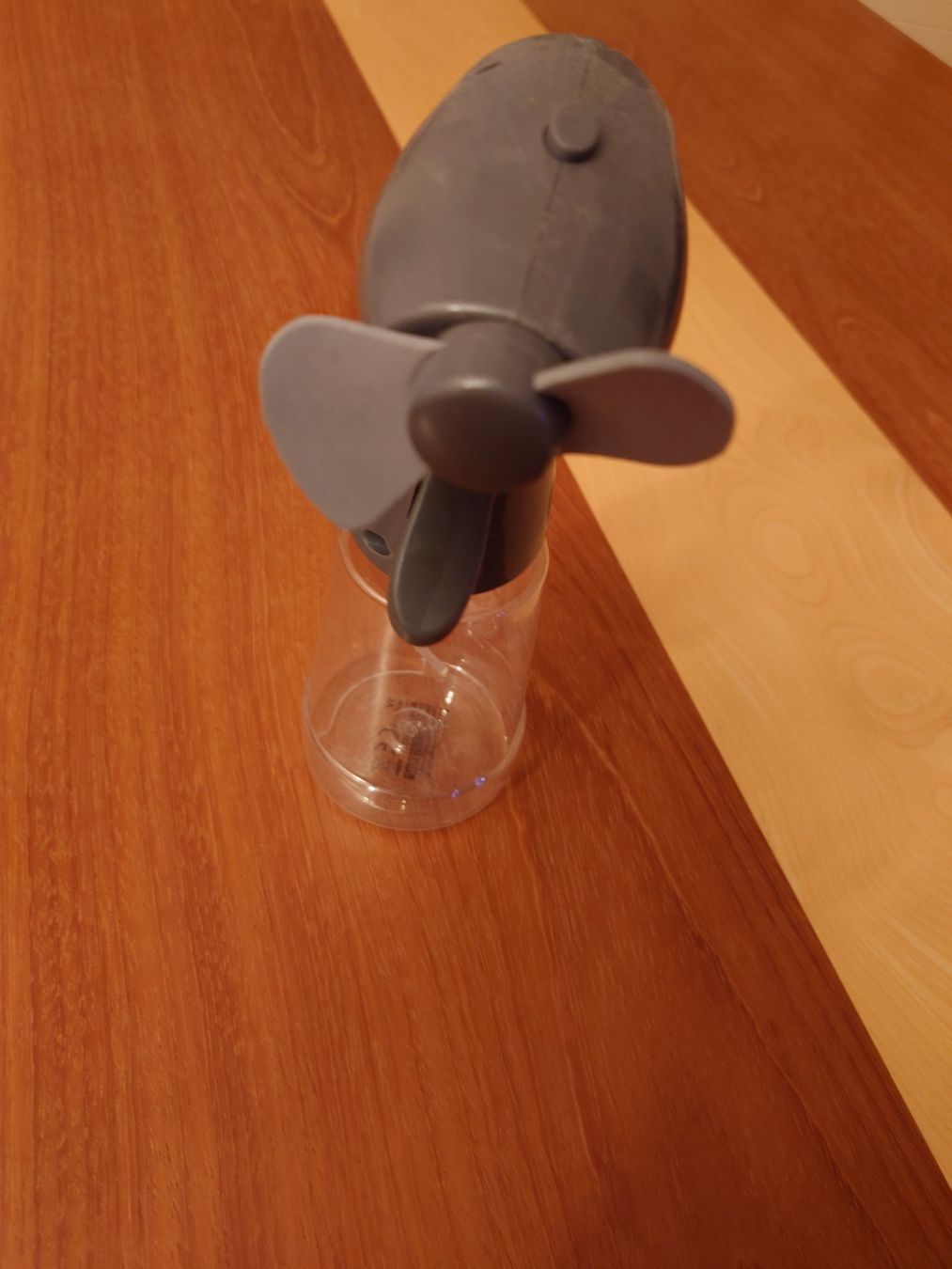 Altro per la casa: Sprühflasche mit Ventilator, neuwertig! – Usato da Rorschach venduto da hannibal_70 1