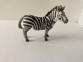 Schleich Zebra Hengst Rarität Wild Life Zoo Tiere