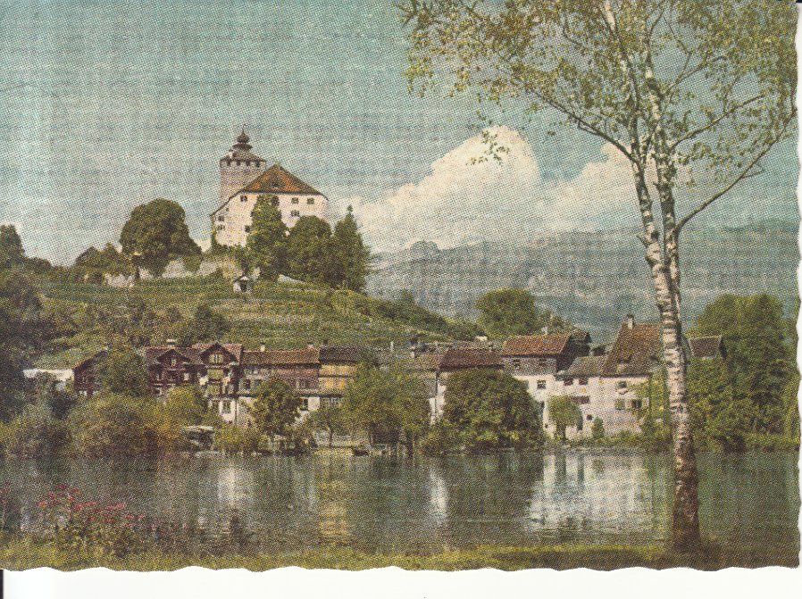 Cartoline postali: Werdenberg ca. 1970, Stempel Juninger Hirschen Buchs – Usato da Bürglen TG venduto da StampGraf