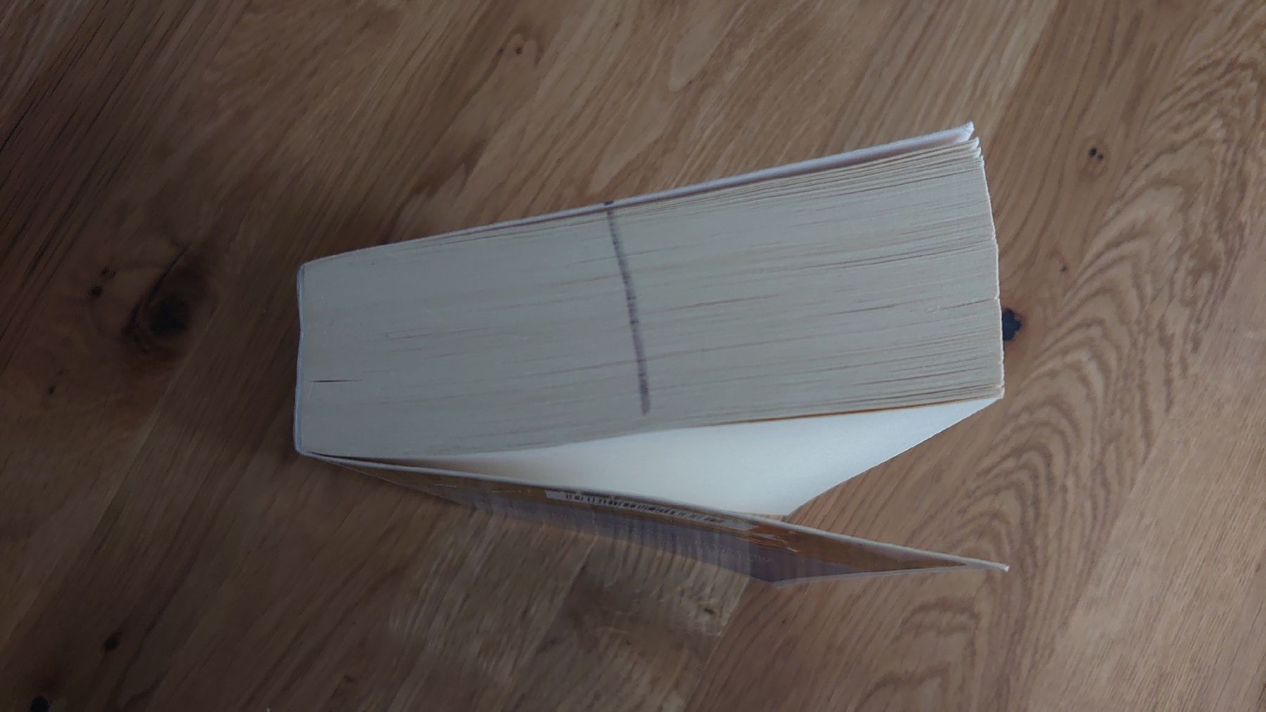 Bücher: Jutta Beyrichen - Die Pferdefrau – Gebraucht aus Pfäffikon SZ von Wild0 4