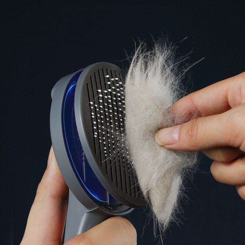 Altro per la casa: Brosse à chat – Nuovo e nell'imballaggio originale da Uvrier venduto da AlpineTreasures 2