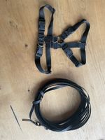 Biothane Schleppleine schwarz, 15m, plus tTouch Gstältli