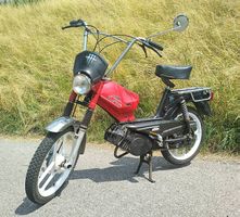 KTM Pony GTX Kat