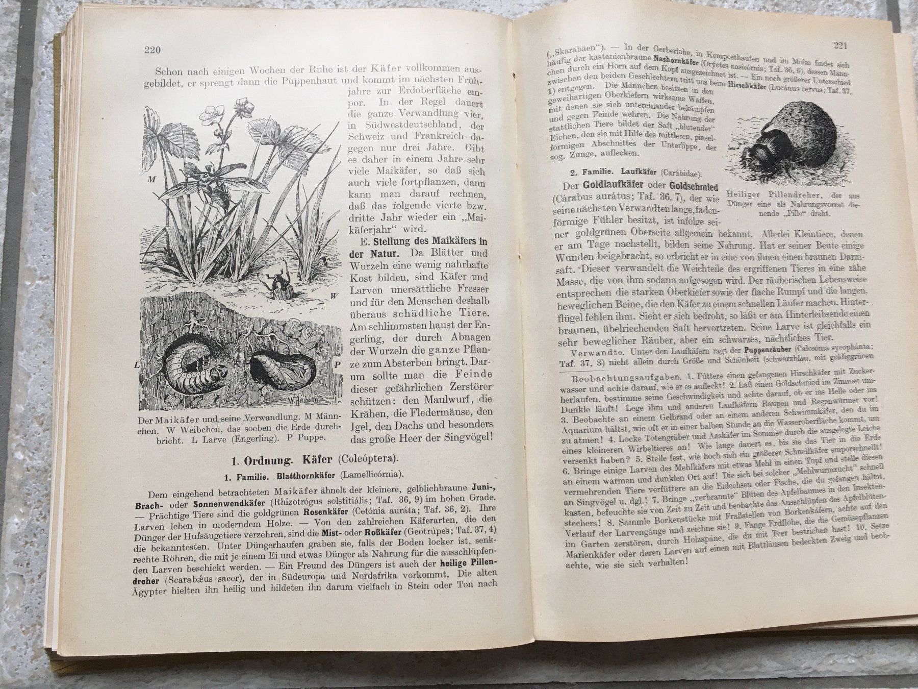 Libri: Antikes Tierkunde-Buch 1926 – Usato da Wettingen venduto da Ecaramel 9