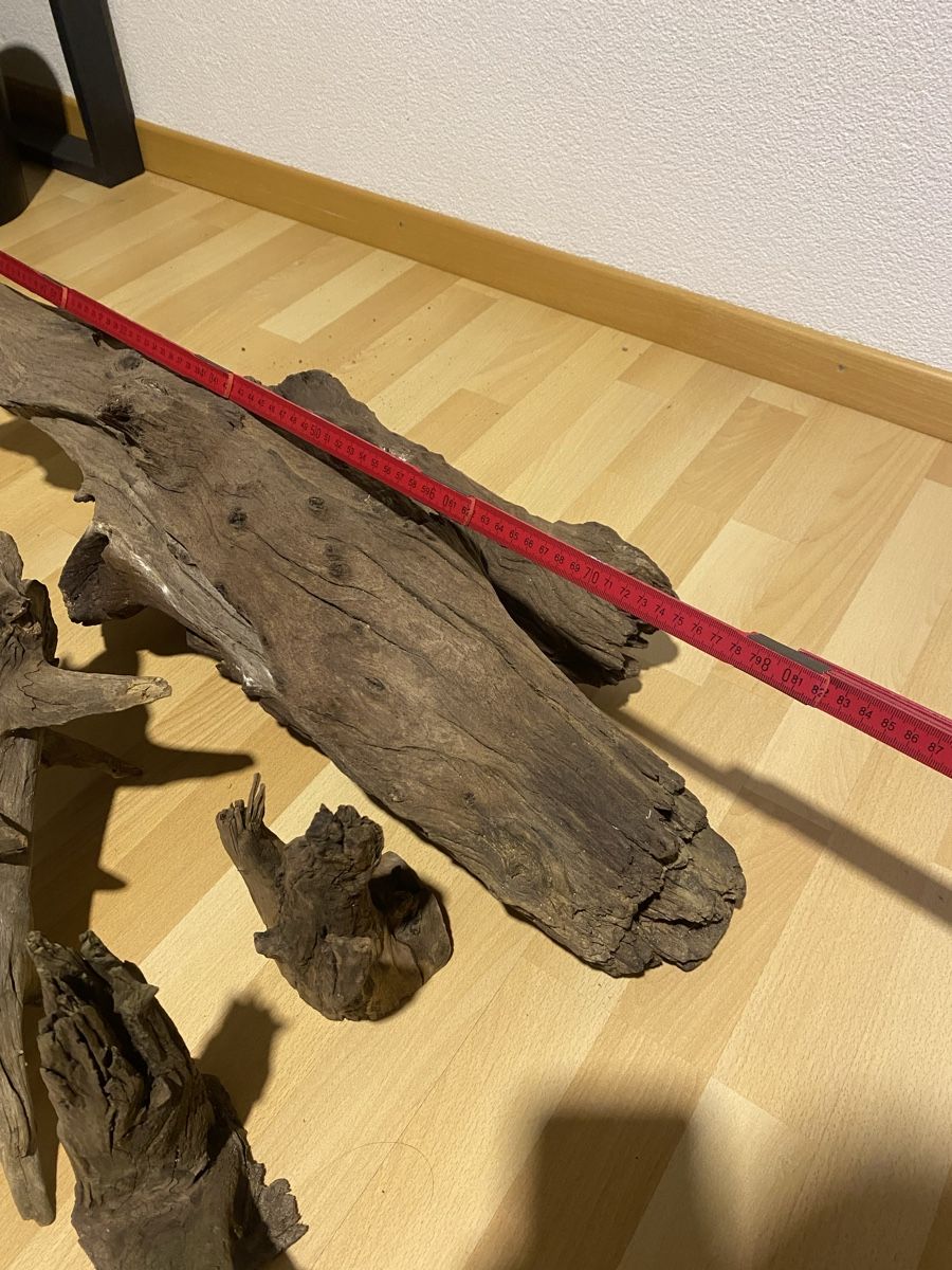 Holzartikel: Mangrovenwurzeln – Gebraucht aus Rüti ZH von tom1896 3