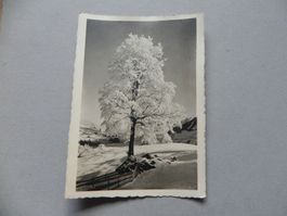 Echtphoto Karte Oberiberg Einsiedeln SZ