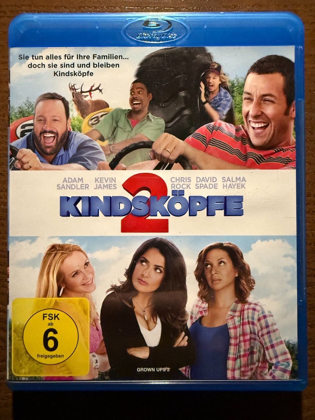 Tutti i DVDs: Kindsköpfe 2 – Usato da Zürich venduto da Blu-ray_ZH