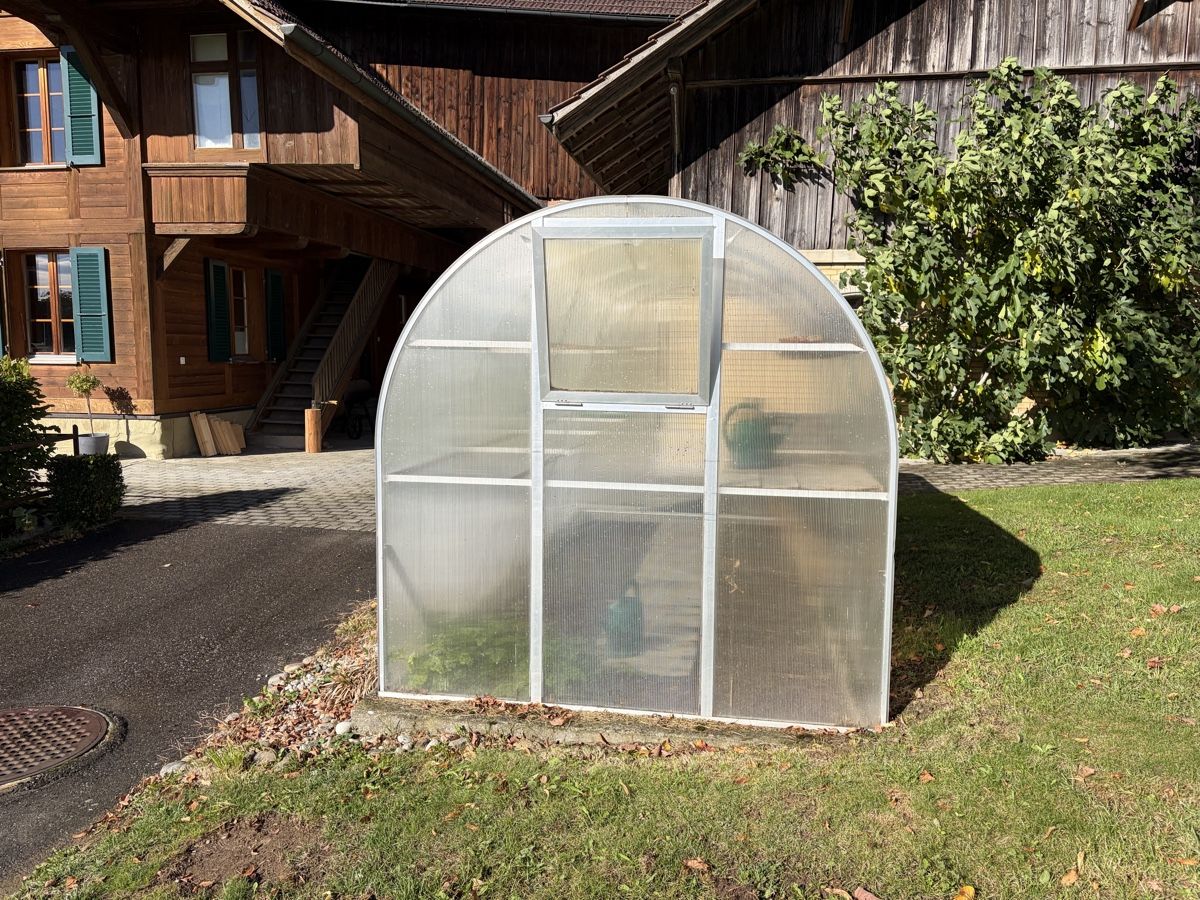 Casette da giardino & serre: Gewächshaus – Usato da Meikirch venduto da lukas.8 3