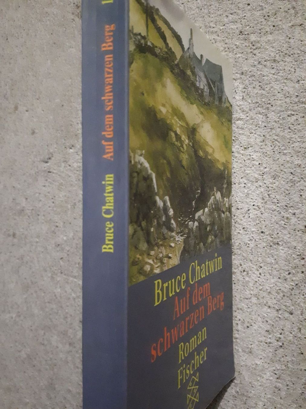 Libri: Bruce Chatwin Auf dem schwarzen Berg – Usato da Basel venduto da Alacant 1