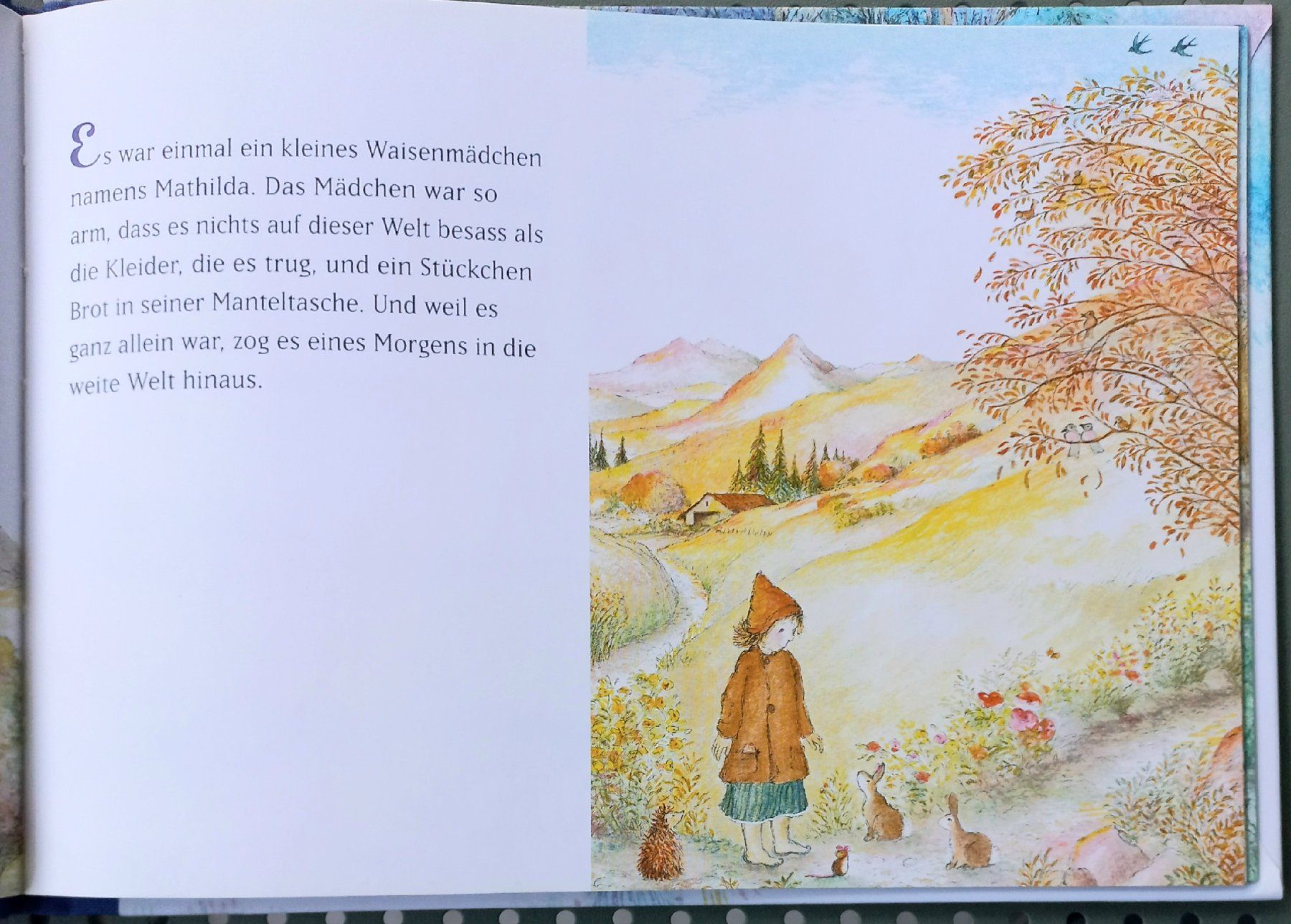 Libri: Buch - Die Sterntaler - Gebrüder Grimm – Usato da Niederuzwil venduto da lubimaja 3
