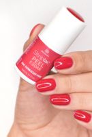 Striplac Alessandro 5 ml