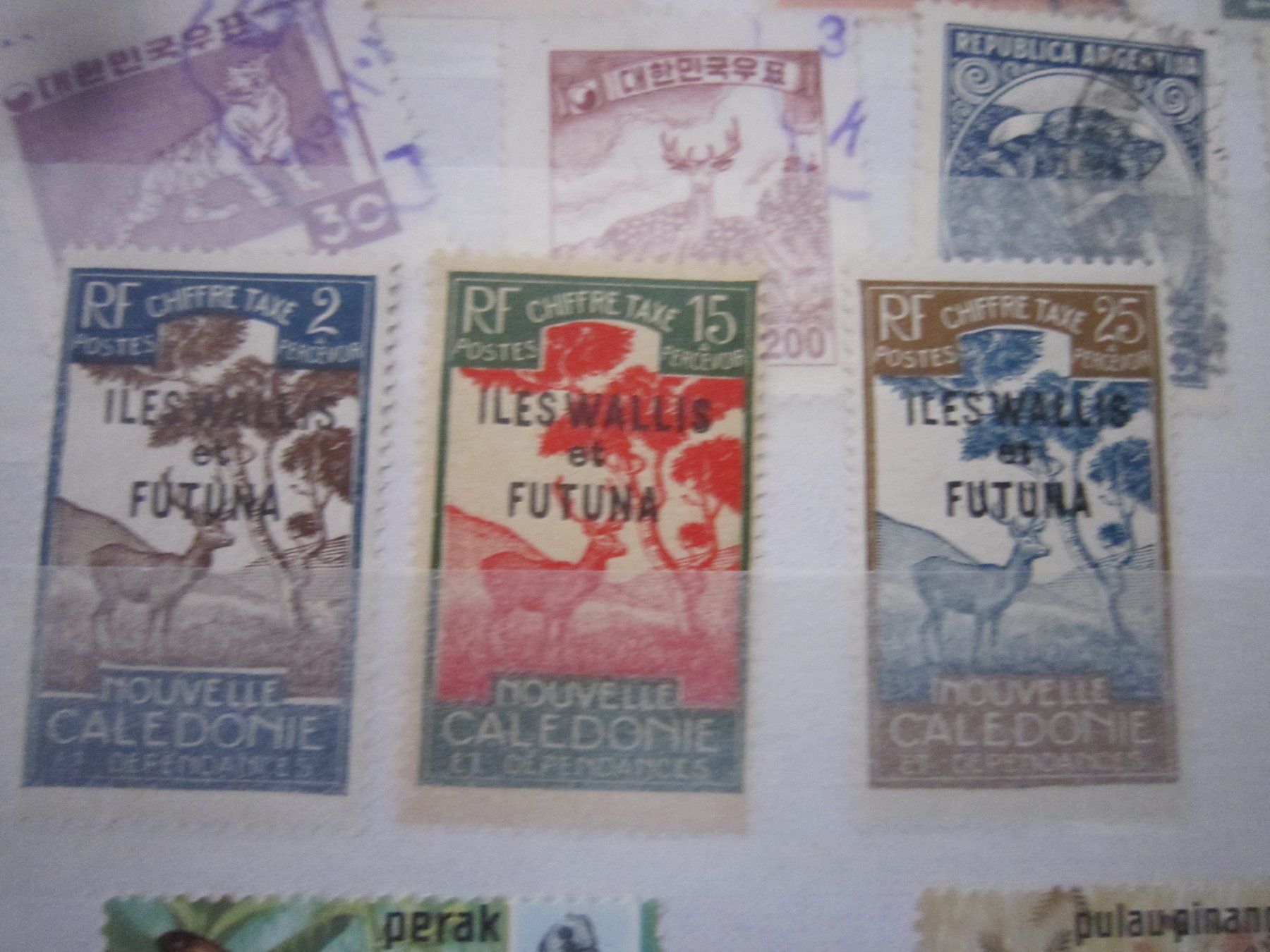 Tutti i francobolli: Lot O7 album mit Marken: Tiere – Usato da Giubiasco venduto da sal_9j6w 5