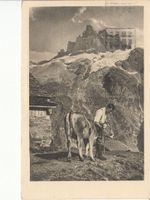 Ebnetalp 1937