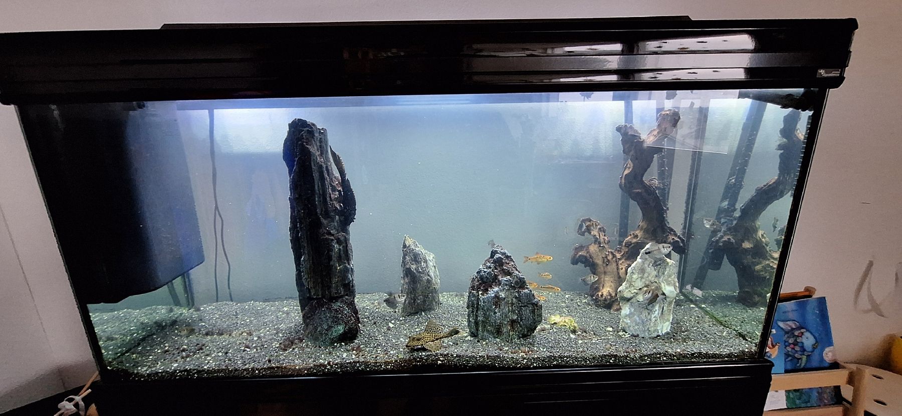 Acquari: Aquarium Aquatlantis – Usato da Hochdorf venduto da FRESHTRASH 2