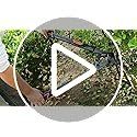 Tutti gli attrezzi: Schwere Astschere 70-90cm Teleskop Amboss Gartenschere – Nuovo e nell'imballaggio originale da Hundwil venduto da pac_6jh8 7