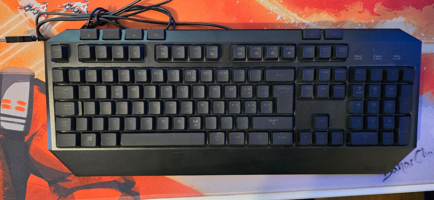 Asus Tastaturen: Asus Keyboard – Neu (gemäss Beschreibung) aus Unterlunkhofen von Lomega18 2