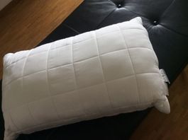 NEU! INTERIO 3-KAMMER KISSEN BAMBUS 65 x 100