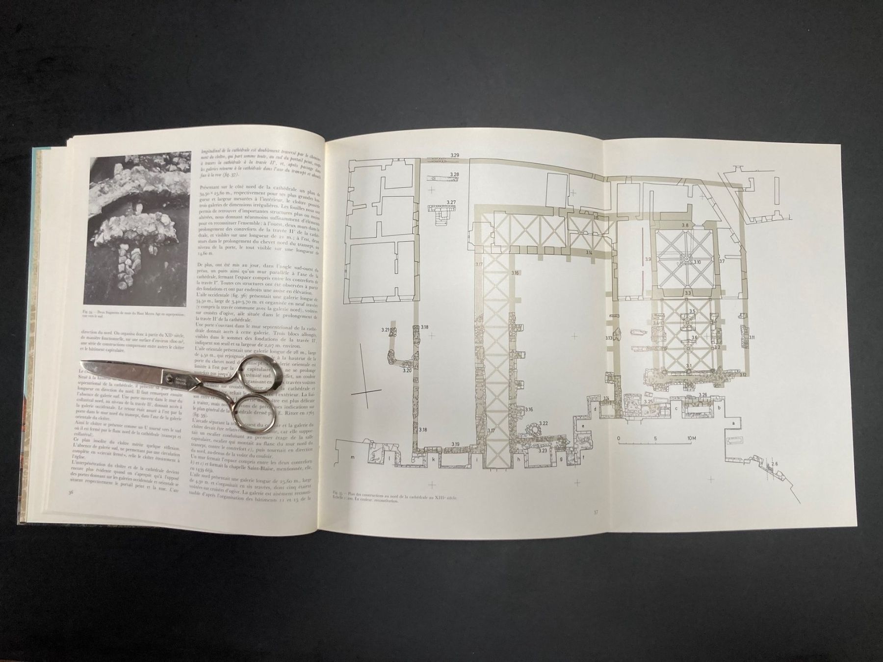Libri: La Cathédrale de Lausanne - Edité par SHAS – Usato da Romanel-sur-Lausanne venduto da seb_9c2t 3