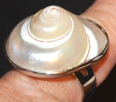 Ring L-8381 – Perlmutter Muschel Grössenverstellbar
