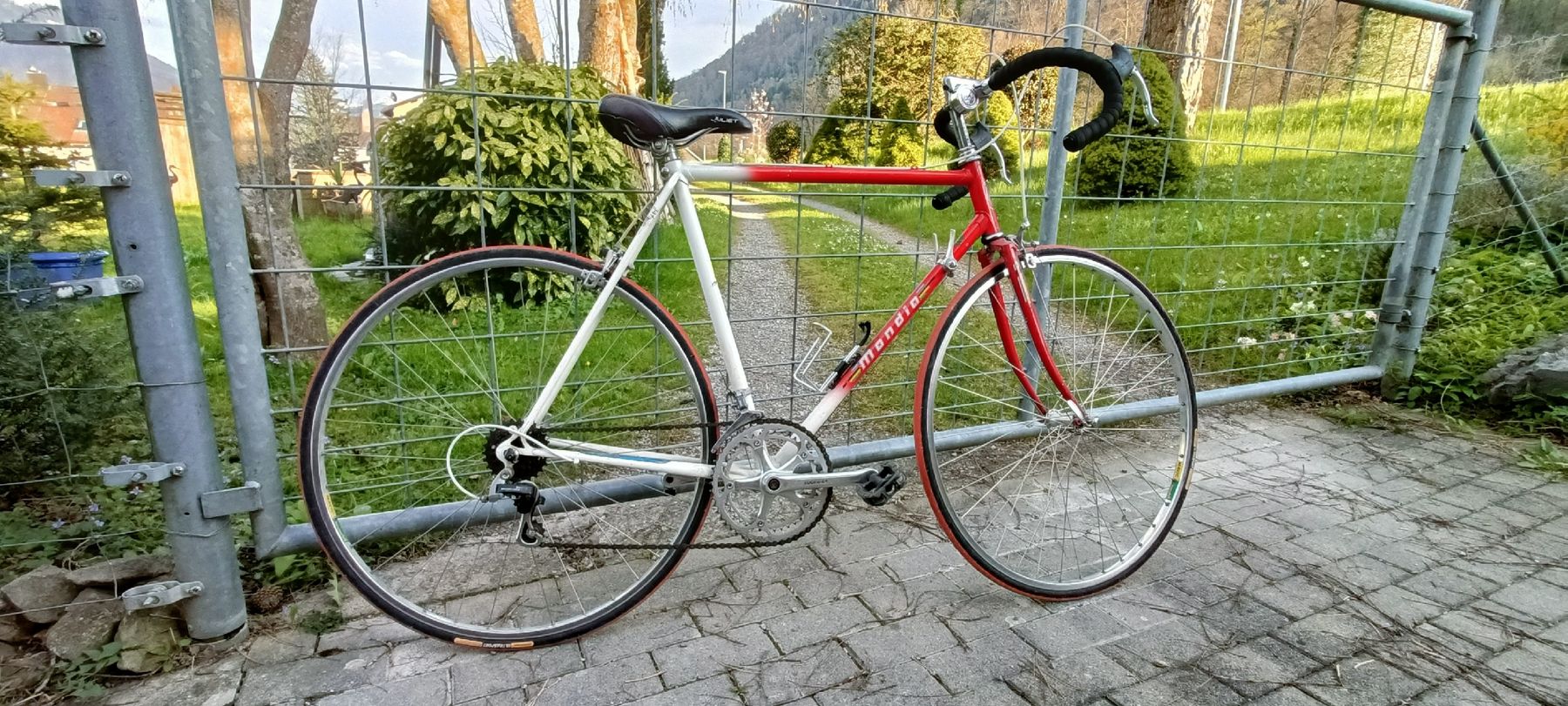Mondia Velos: Strassenrenner Mondia – Gebraucht aus Bilten von Piiide 1