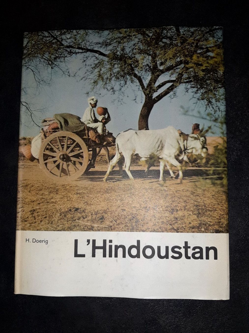 Libri: L'hindoustan – Usato da Le locle venduto da juliensaran