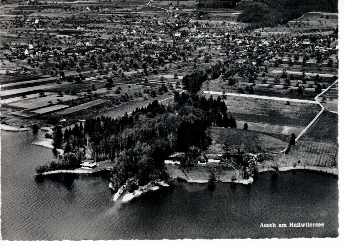 Cartoline postali: Aesch am Hallwilersee – Usato da Wolhusen venduto da Curver9