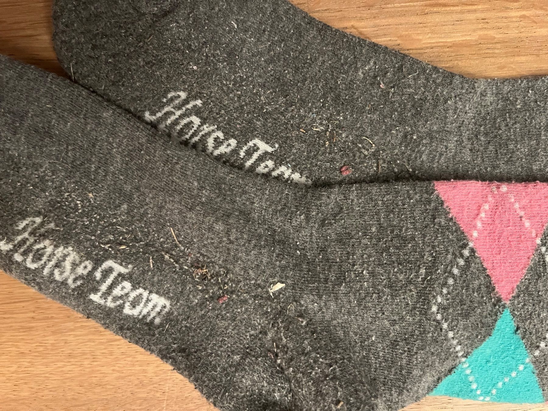 Felix Bühler Calze: Reitsocken – Usato da Laupen BE venduto da lee_ym6v 3