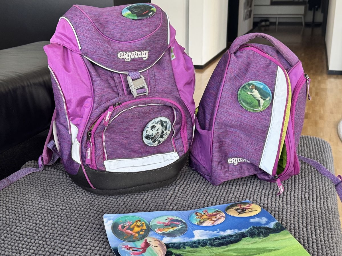 Ergobag Kindertaschen: Schulrucksack Ergobag Pack Mixmax Edition lila gebraucht – Gebraucht aus Zürich von lorem.ipsum