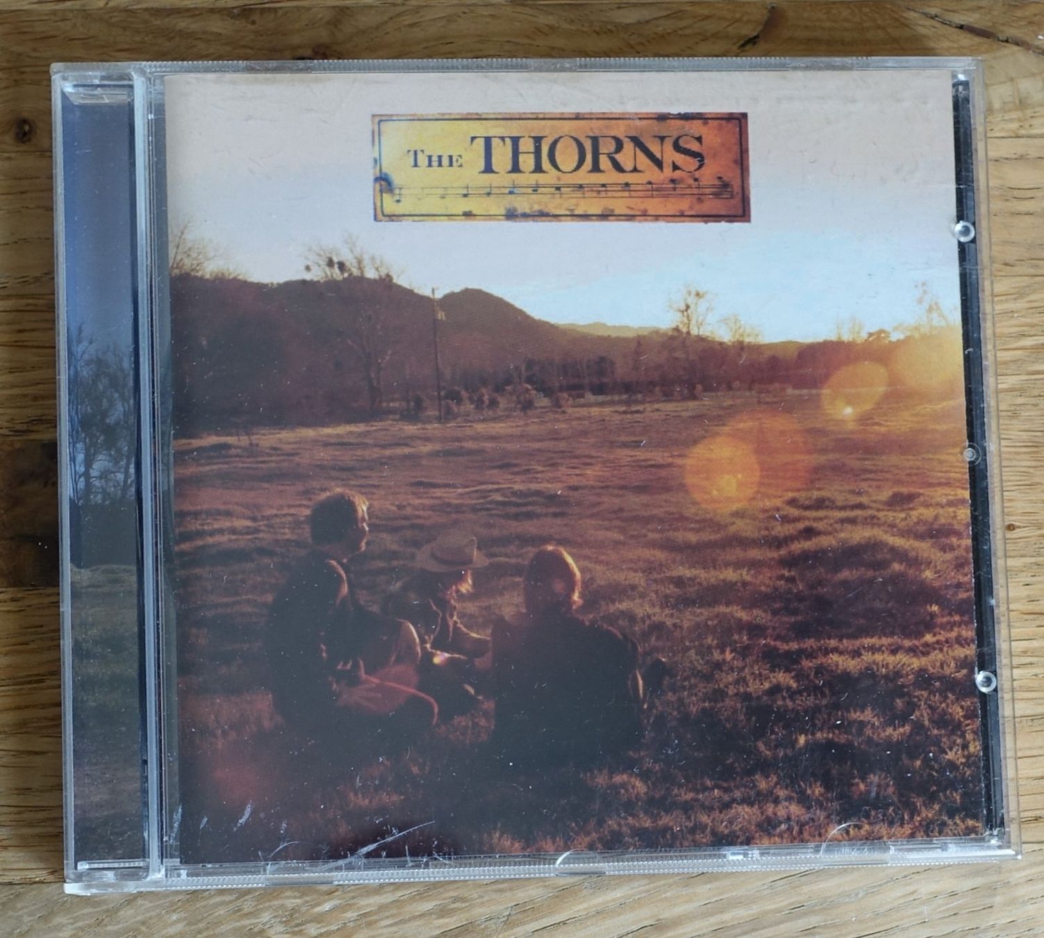 CD: The Thorns - F13 – Usato da Sessa venduto da fraenklishop