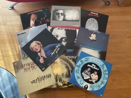 Schallplatten 10 Stück Liedermacher diverse Interpreten