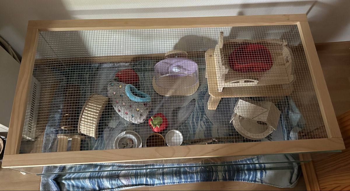 Terrario: Nagerheim / Terrarium – Usato da Tägerwilen venduto da Marakso