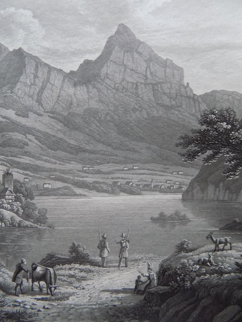 Stiche: Lauerzersee Schwanau Mythen – Gebraucht aus Risch von Rischli15 5
