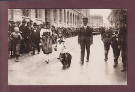 Photo - BERN - Tracht und Bär