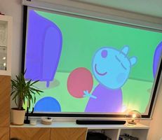 Celexon Leinwand 240 × 240 cm  manuell