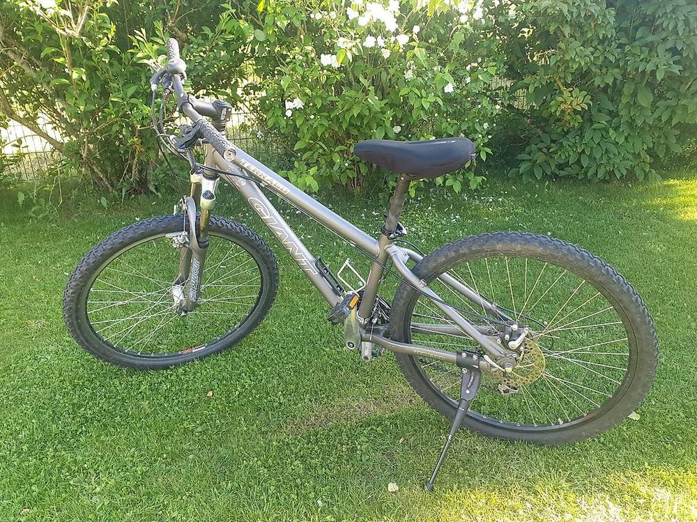 Vélo tout terrain, chemin Giant