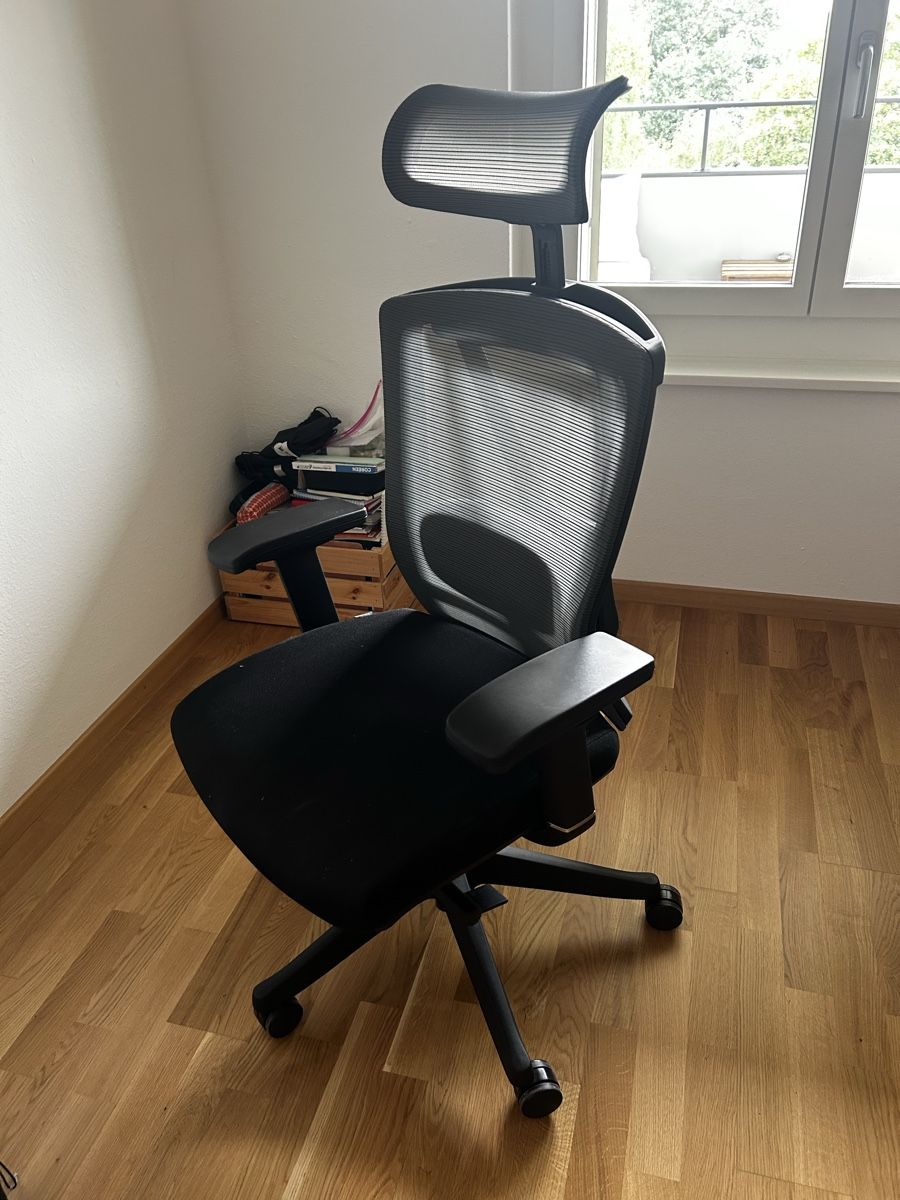 Stühle: ergonomic office chair – Gebraucht aus Zürich von lar_npv8 1