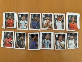 Panini WM 2026 - alle 12 Coca Cola Sticker
