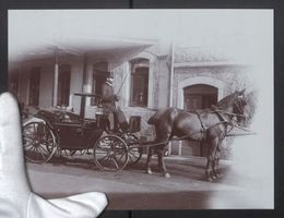 Fotografie Junge in edler Pferdekutsche 