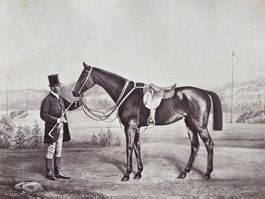 JOHANN SCHNEABELI, Pferd und Reiter, Vintage 1865