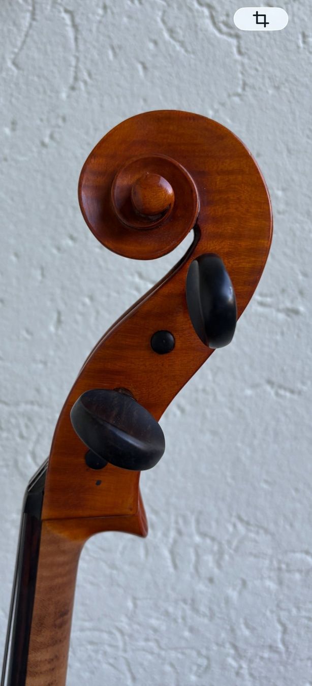Musikinstrumente: Cello "Giovanni Pallaver" 1962 – Gebraucht aus herzogenbuchsee von lionel16 1