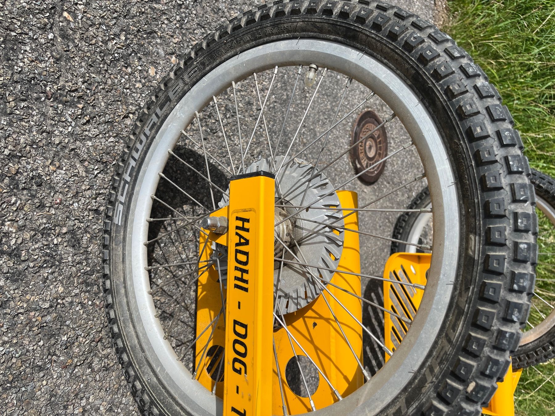 Velos: Hadhi Dog Trike – Gebraucht aus Reigoldswil von tan_wh69 2