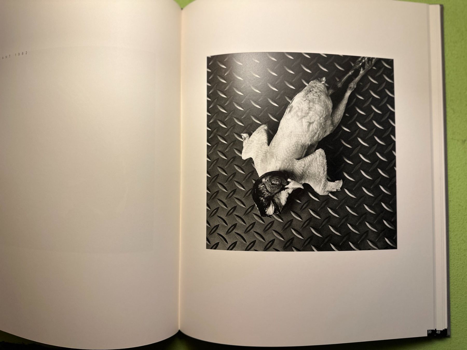 Libri: François Robert: Before & After. – Usato da Zürich venduto da allp 6
