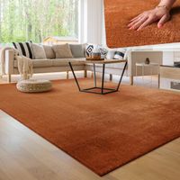 -50%‼️ Teppich Wohnzimmer riesig! 240x340 Kupfer